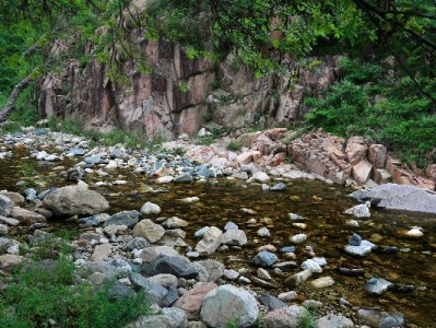 花呗分期怎么选更划算？富信掌柜教你聪明规划消费账单