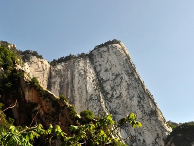 抖音月付商家分类解析：五大品牌如何助力不同场景生意增长