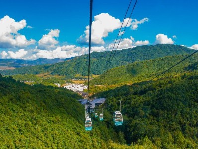 合规周转新选择：出财小神教你安全利用花呗额度