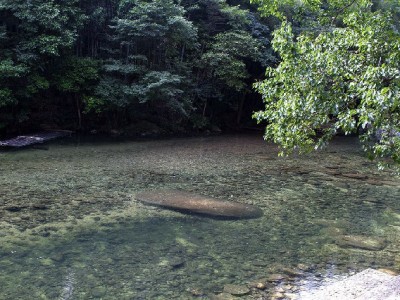警惕抖音月付套现秒回陷阱！三招+出财小神守护账户安全