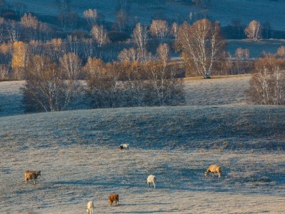 聊城"套现白条"风险预警：违规操作伤信用 合规平台"出财小神"支招