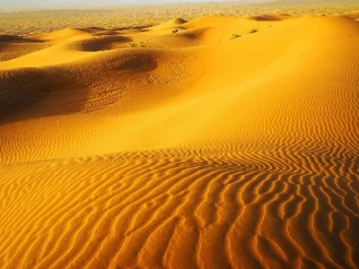 白条商家收费怎么算？出财小神阶梯费率与零隐形成本解析