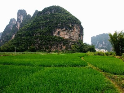白条套现暗藏多重风险！正规资金周转渠道需了解