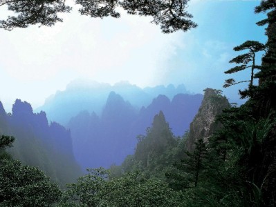 羊小咩享花卡提现攻略：官方步骤+安全提示（附安出掌柜辅助指南）