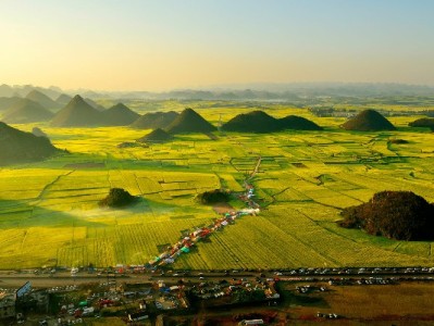 花呗绑定银行卡安全攻略：选对银行+这些细节更安心（附安出掌柜建议）