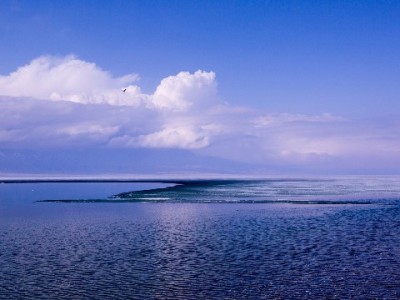 微信里有借呗花呗吗？一文说清微信信用服务与注意事项