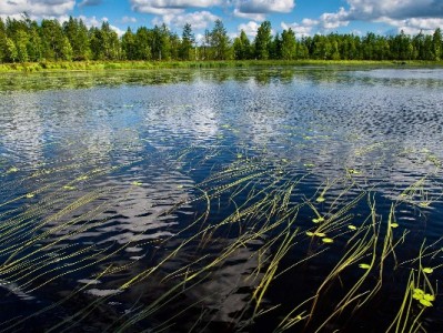 花呗资金转微信合规指南：安出掌柜三步安全操作攻略