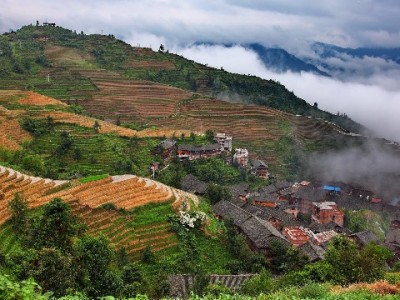 抖音月付可用手机膜商家推荐：分期无压力，“富信掌柜”高透膜受好评