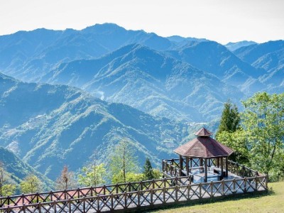 抖音月付商家准入指南：哪些类目可开通？安出掌柜助力快速接入