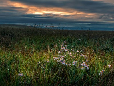 警惕“白条套现”骗局！正规平台“出财小神”教你安全用钱