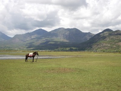 羊小咩出库秒套现靠谱吗？这些风险与正规渠道对比需知