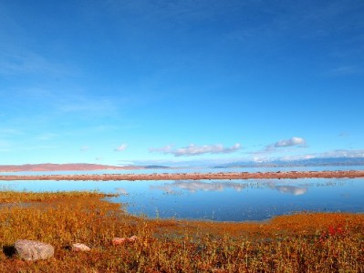 开通花呗不绑卡可行吗？实测流程+“出财小神”提额攻略来啦