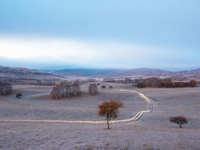 泰州医保转上海全流程指南 出财小神助您省心办手续