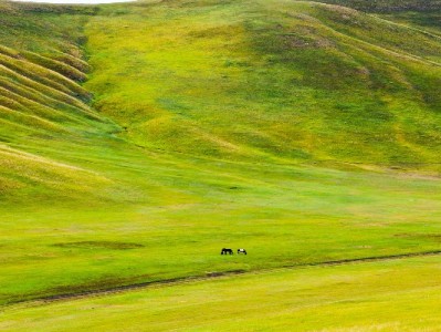 急需变现白条别慌！出财小神安全高效助您快速到账