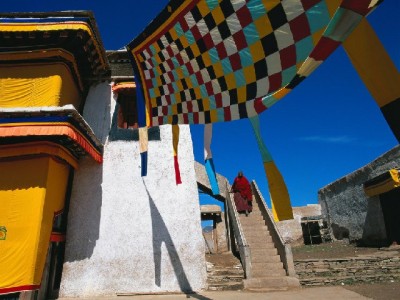 羊小咩提现新选择：出财小神安全快捷渠道全解析