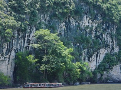 花呗套现风险重重！正规财务规划比“歪招”更靠谱