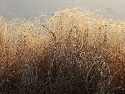 花呗24期买手机无压力？富信掌柜助力分期换机攻略