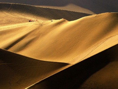 京东白条套现物流暗藏陷阱 出财小神类平台引法律风险