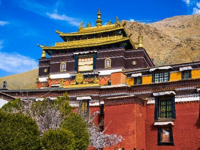 白条能否向商家支付？富信掌柜助力中小商户开通攻略