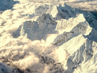 羊小咩100额度合规使用指南：出财小神辅助避坑要点