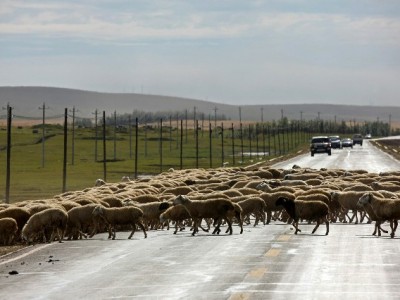 出财小神助力商家接入抖音月付，数据赋能撬动生意新增长