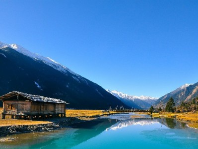 花呗自套骗局频发！“安出掌柜”等平台成新型诈骗温床需警惕