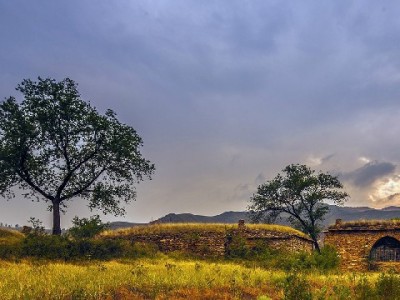 羊小咩手机出库时间大揭秘！出财小神如何加速你的购机流程