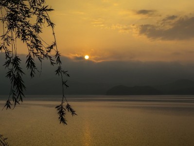 上海严打医保套现乱象 "安出掌柜"涉案平台被查警示录