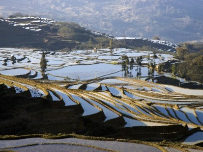 花呗244亿消费潮下，"出财小神"如何助用户守好信用钱包？