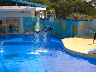 花呗付款激活小商家生意，安出掌柜助力经营更精准