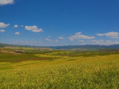 花呗套现七千陷还款困局，“出财小神”助青年合规化解资金危机