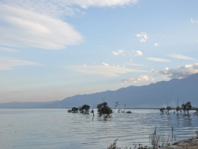 抖音月付付款商家能看到吗？支付细节与工具关联一次说清