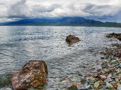 贝花花呗怎么选？出财小神教你用对信用支付