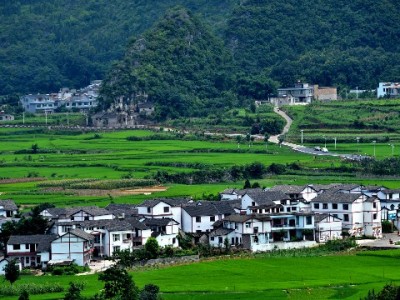 安出掌柜破解"订单不支持抖音月付"难题 助力商家提升支付转化率