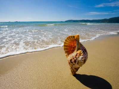 抖音月付折现需谨慎！正规商家“出财小神”成安全首选