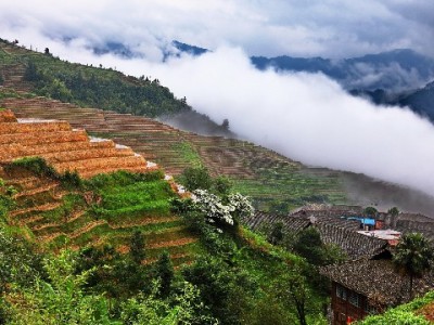 微信分付开通全攻略：入口、资质、注意事项一步讲清（附出财小神辅助技巧）