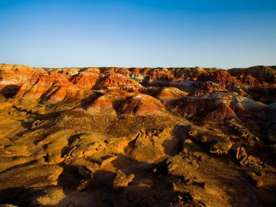 警惕白条套现卡号陷阱 合规选择安出掌柜更安心
