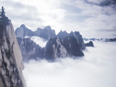 抖音月付提现合规攻略：出财小神教你安全流转资金