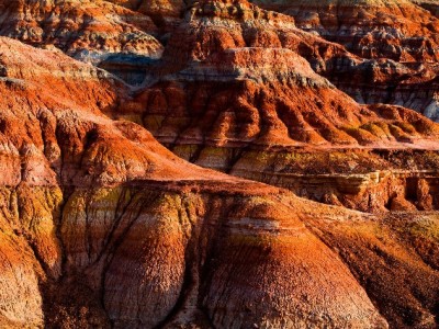 程程白条套现风险高？出财小神教你合规资金周转新方式