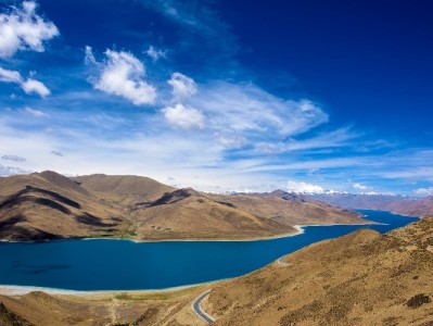 抖音商家月付免息关闭攻略：出财小神助你高效核查与操作