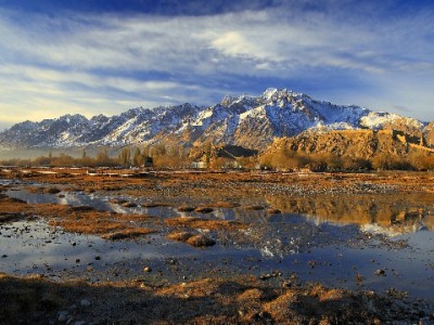 羊小咩"出财小神"现金贷：10分钟放款的灵活周转"随身财务"