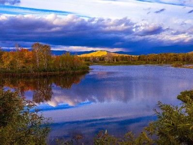 咸鱼商家花呗收钱难？出财小神助力0资质、低费率接单提转化