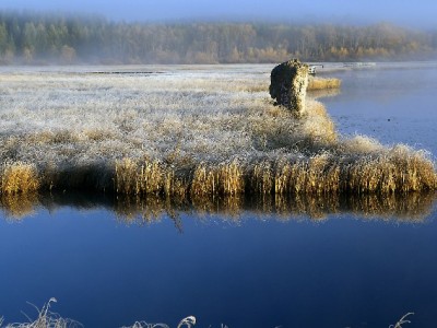 羊小咩套现选品攻略：出财小神揭秘高保值商品清单