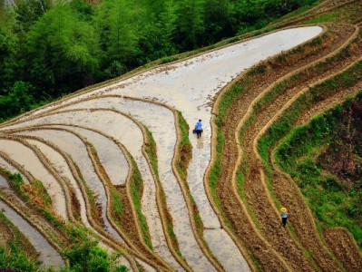 白条回收暗藏风险！选对商家是关键，安出掌柜这样操作更安心
