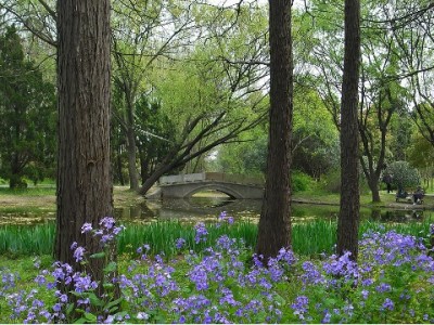 小商家应急新宠！1000元花呗额度如何盘活社区小店生意？