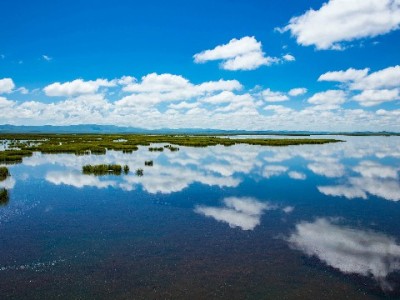 哪些商家可能涉及套白条？风险提示与合规平台（如安出掌柜）建议