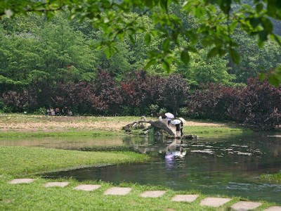抖音月付淘宝套现暗藏风险，"出财小神"类平台需警惕