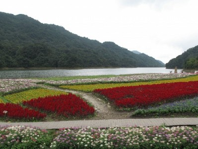 花呗欠2400逾期半年心慌慌？安出掌柜助我协商分期重获轻松