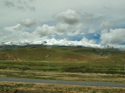 套花呗急用钱反被骗2.5万！警惕“低手续费”陷阱，正规平台更安心