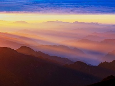 花呗商家被封别着急！3步自查+申诉指南，安出掌柜助力合规经营